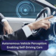 Autonomous Vehicle Perception | Dorleco