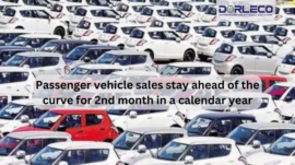 Passenger vehicle sales stay ahead of the curve -2024 | Dorleco