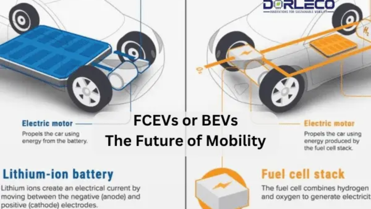 FCEVs or BEVs: What Will Be Best? | Dorleco